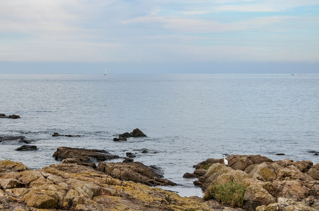 Coastal view of Punta del Este with rocky shoreline at sunset